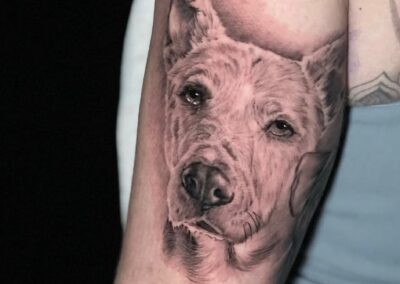 Dog Tattoo